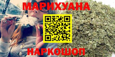 шишки Новодвинск