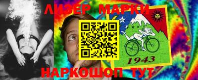 шишки Новодвинск