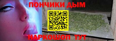 шишки Новодвинск