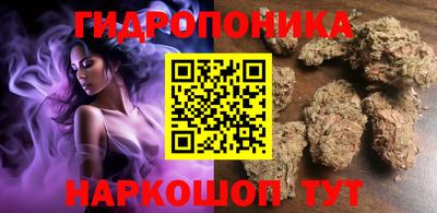 шишки Новодвинск