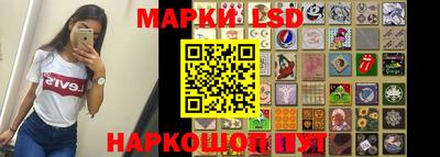 шишки Новодвинск