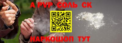 шишки Новодвинск