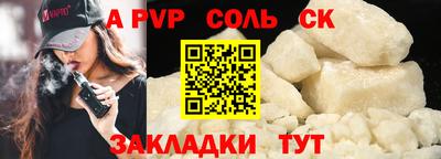 шишки Новодвинск