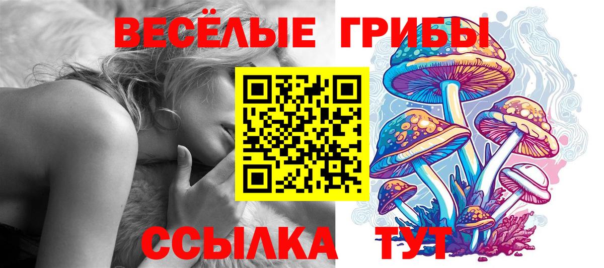 Тулун  Галлюциногенные грибы мухоморы  Псилоцибиновые грибы GOLDEN TEACHER  Вход с VPN 