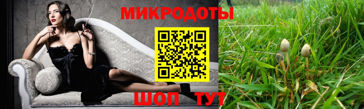 Псилоцибиновые грибы мицелий Тулун